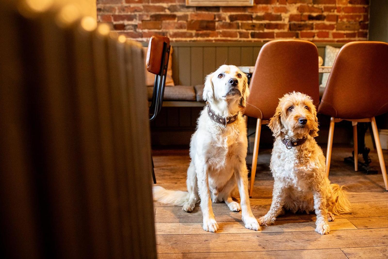 The Boot Inn Burton-upon-Trent Ngoại thất bức ảnh